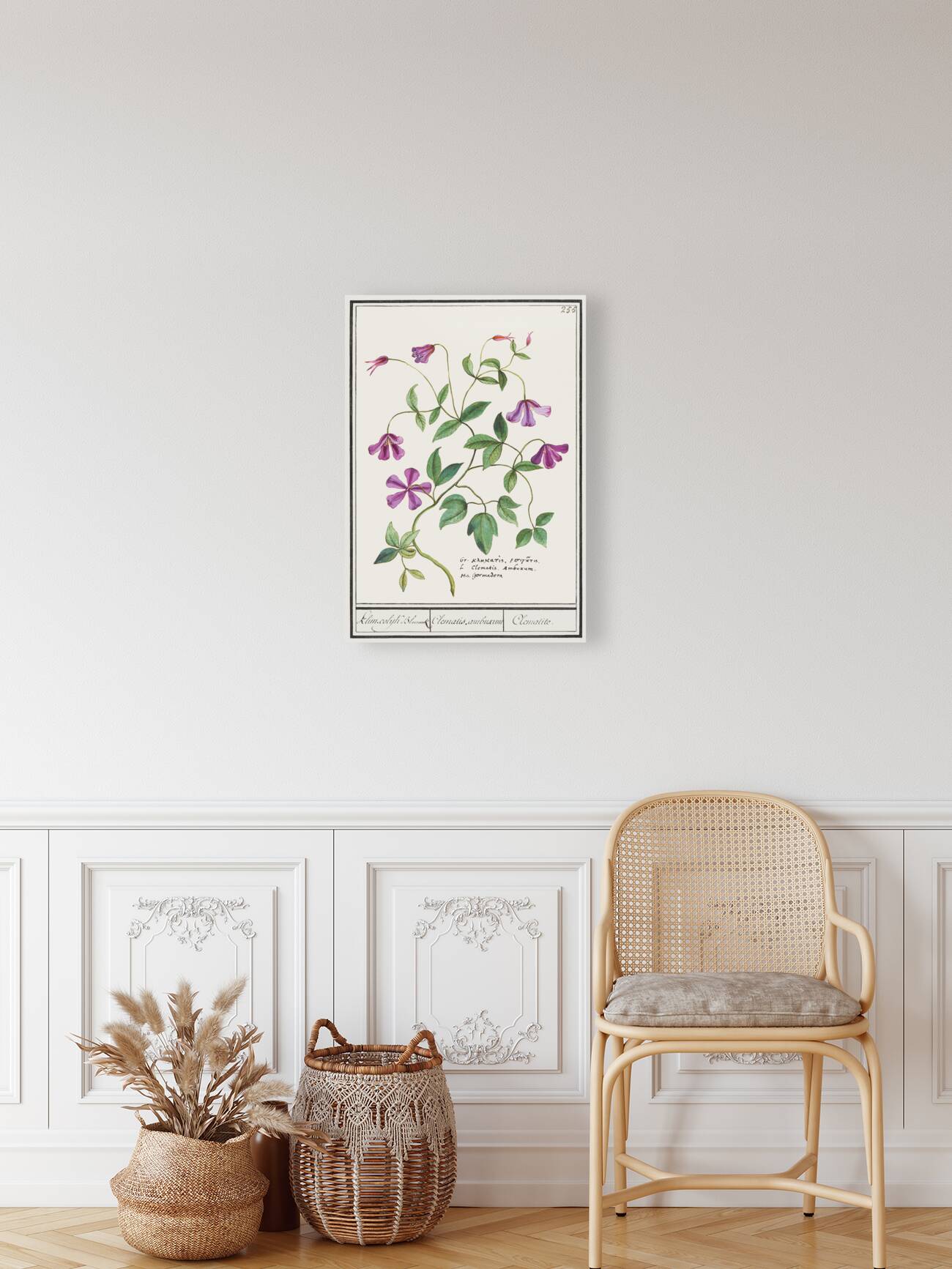 Clematis in vintage style Reproduction