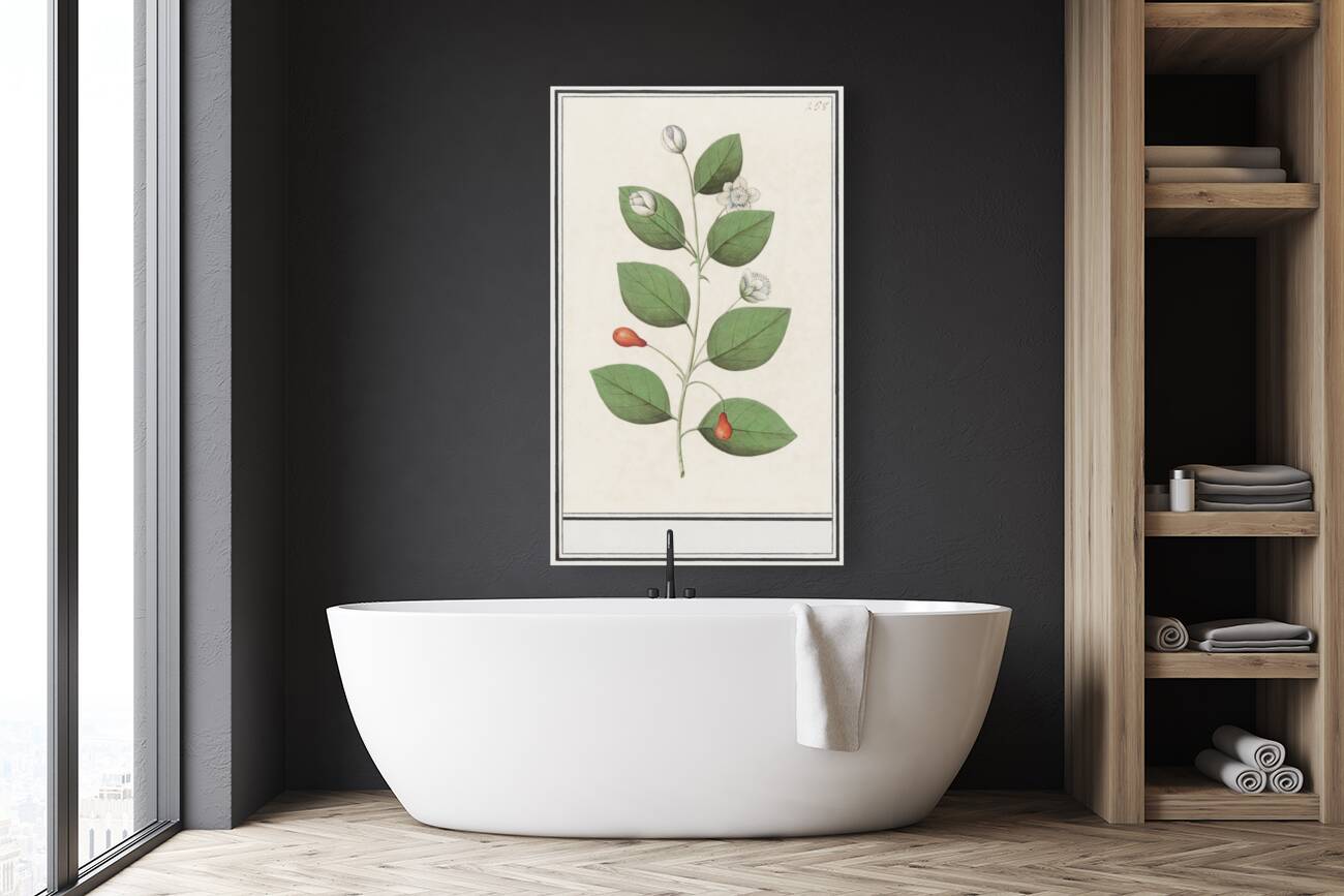 Myrtle family in vintage style Reproduction