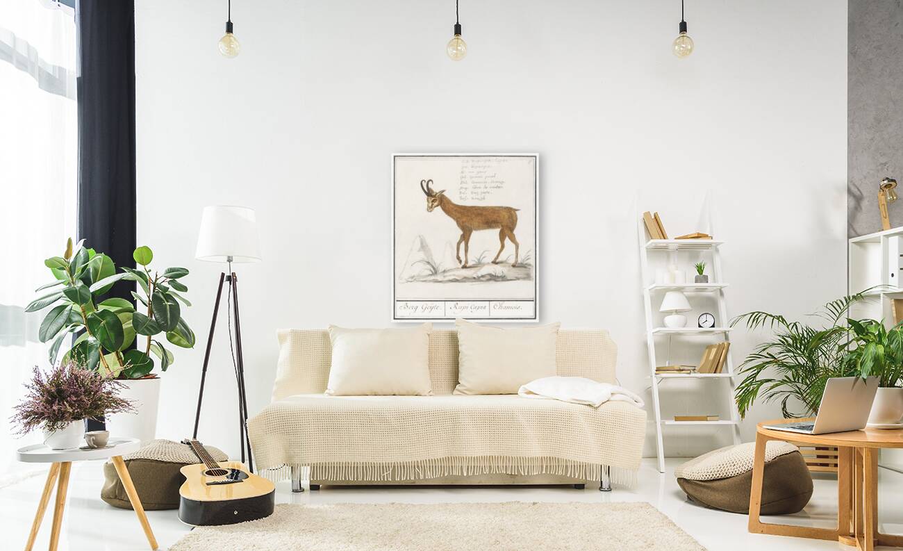 Chamois in vintage style Reproduction