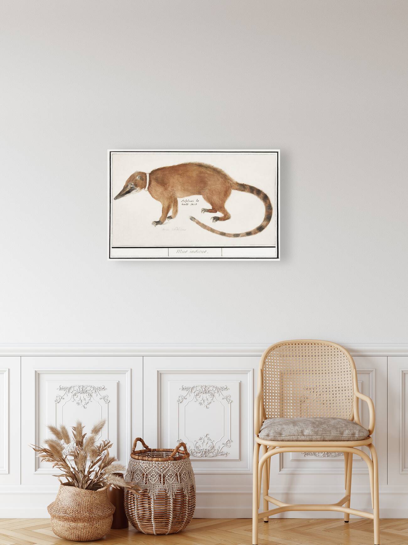 Coatimundi in vintage style Reproduction