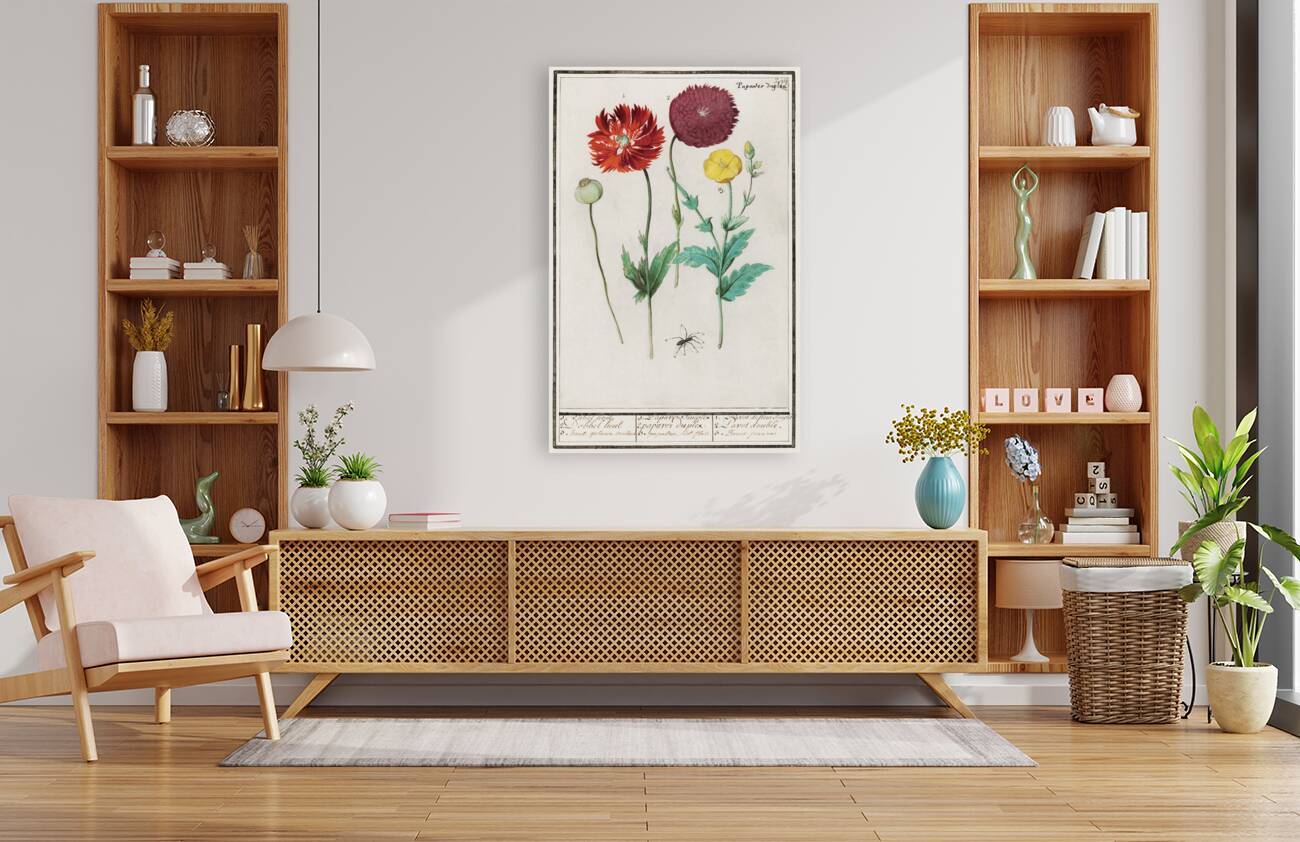 Poppy in vintage style Reproduction