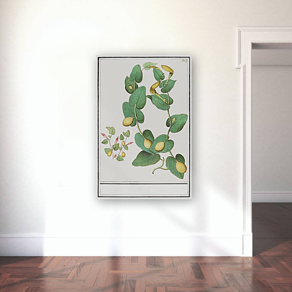 Unknown plant in vintage style Reproduction