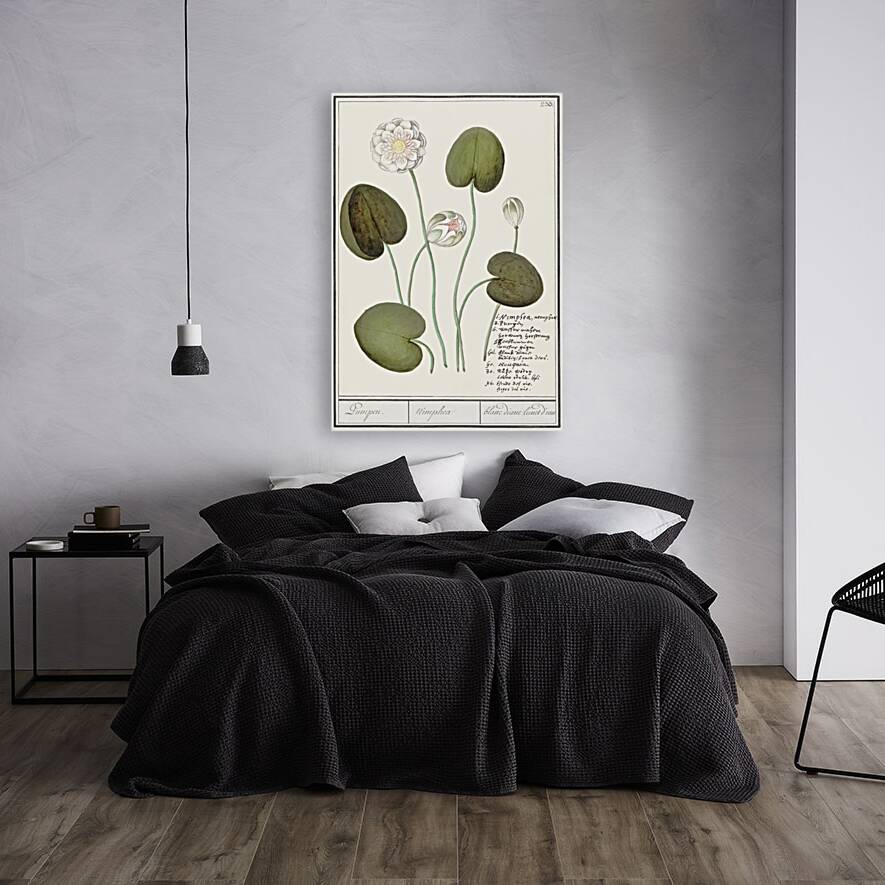 Water lily in vintage style Reproduction