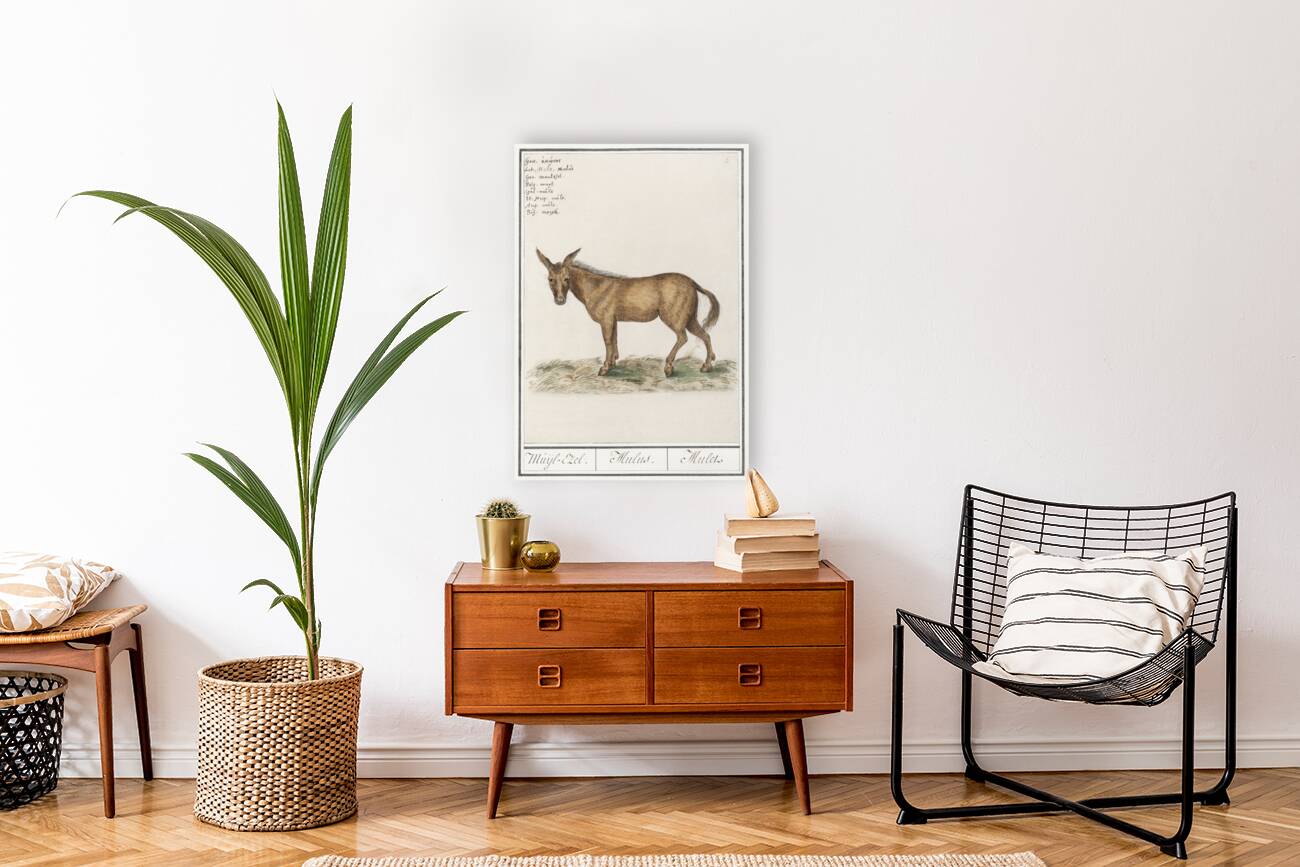 Mule in vintage style Reproduction