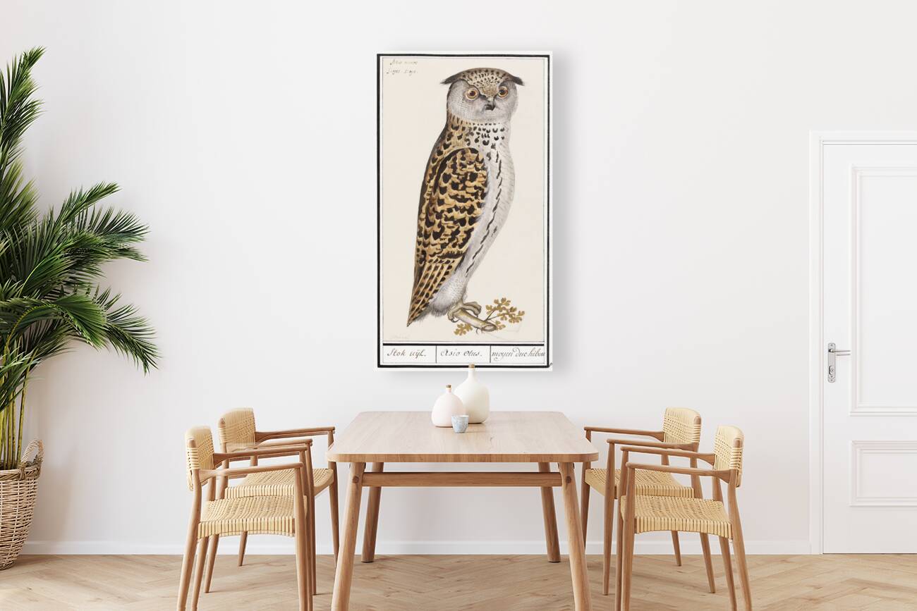 Scops owl in vintage style Reproduction