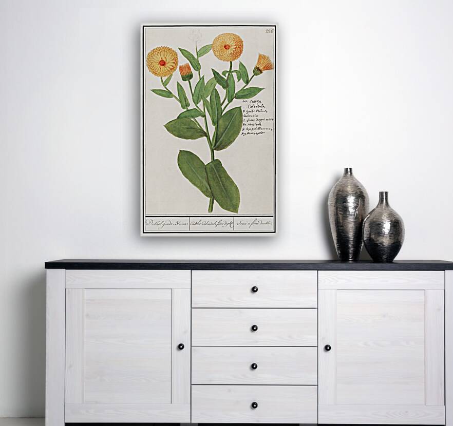 Barn owl in vintage style Reproduction