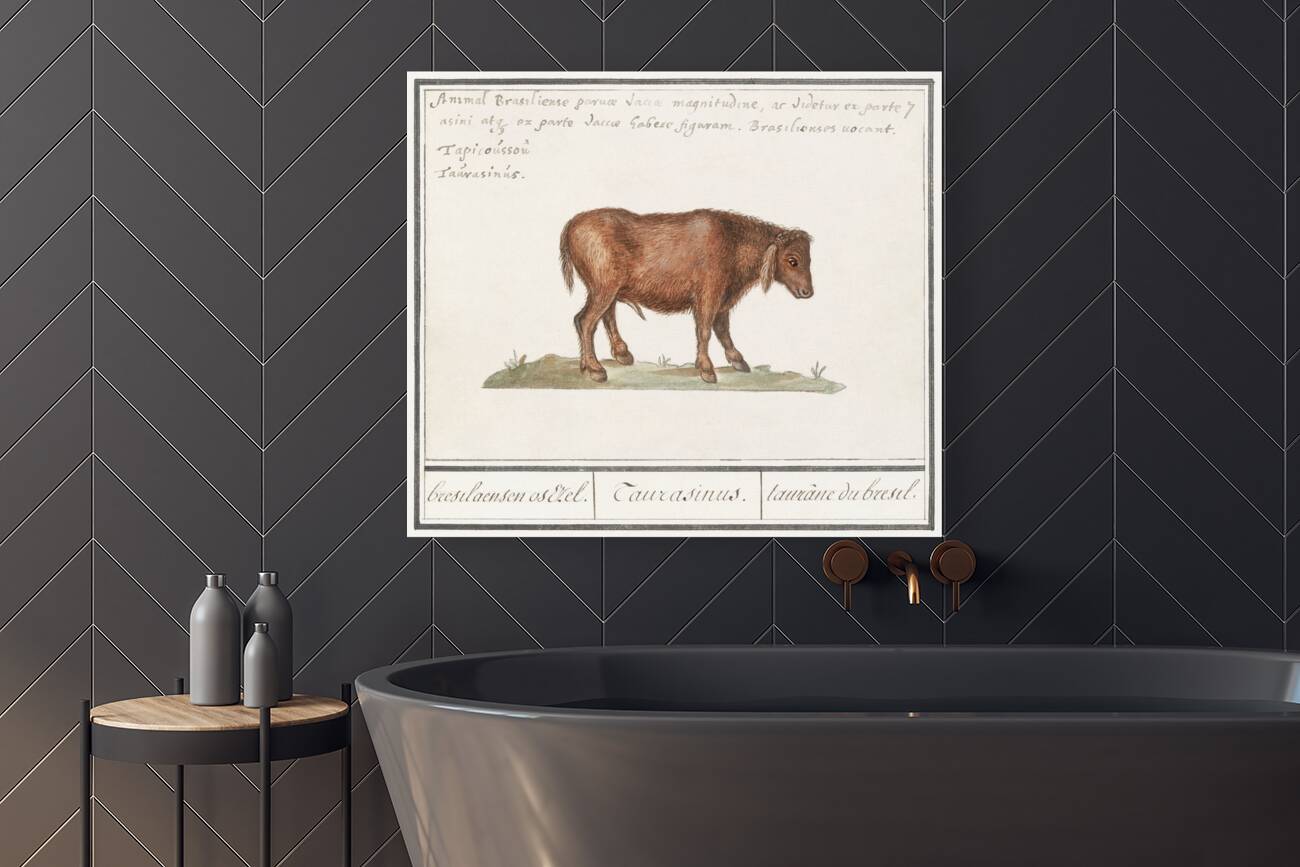 Brazilian cow in vintage style Reproduction