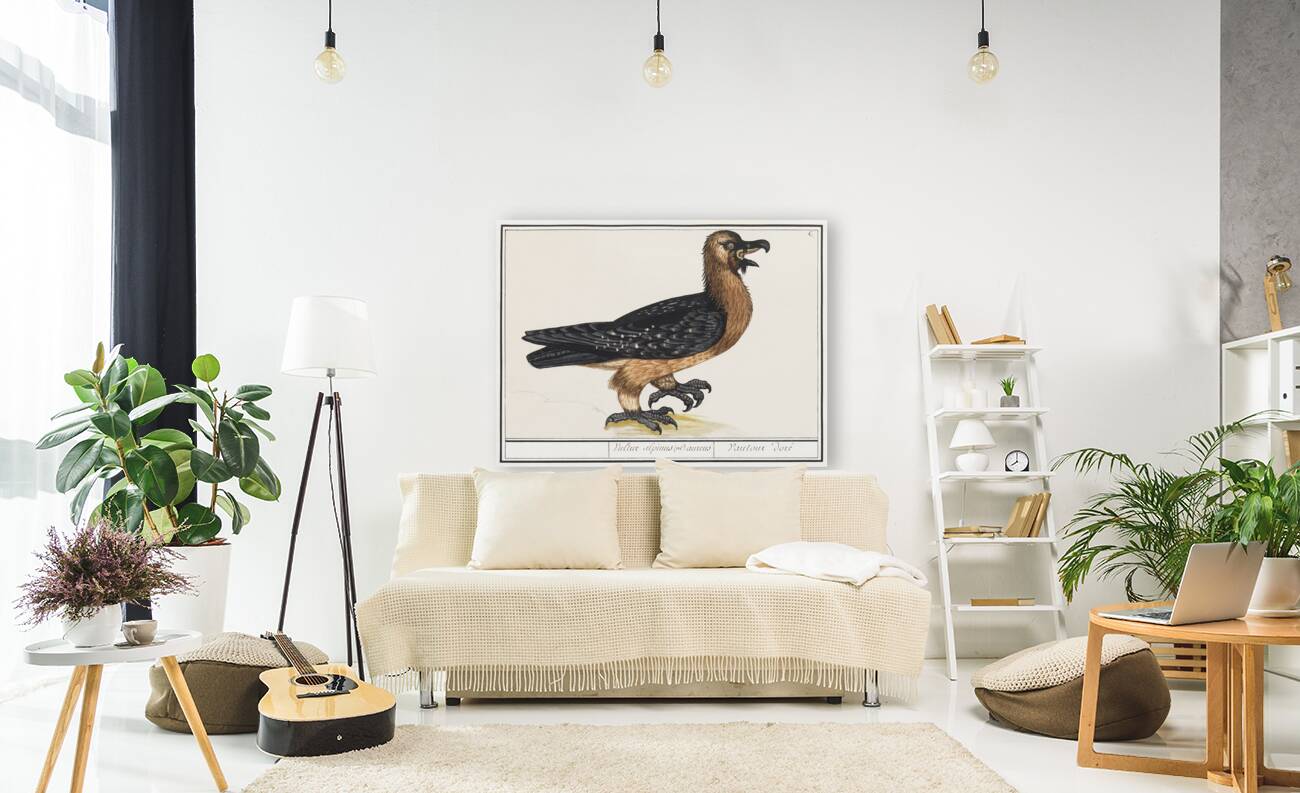 Lammergeier in vintage style Reproduction