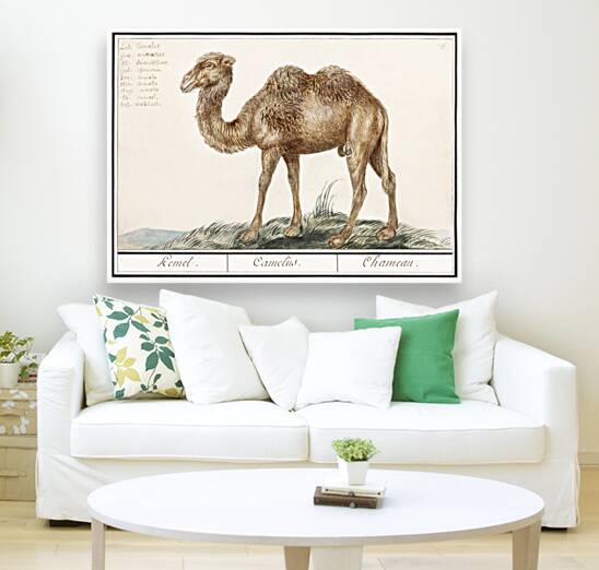 Camel in vintage style Reproduction