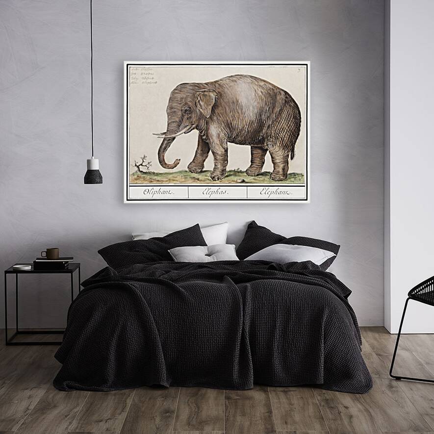 Elephant in vintage style Reproduction
