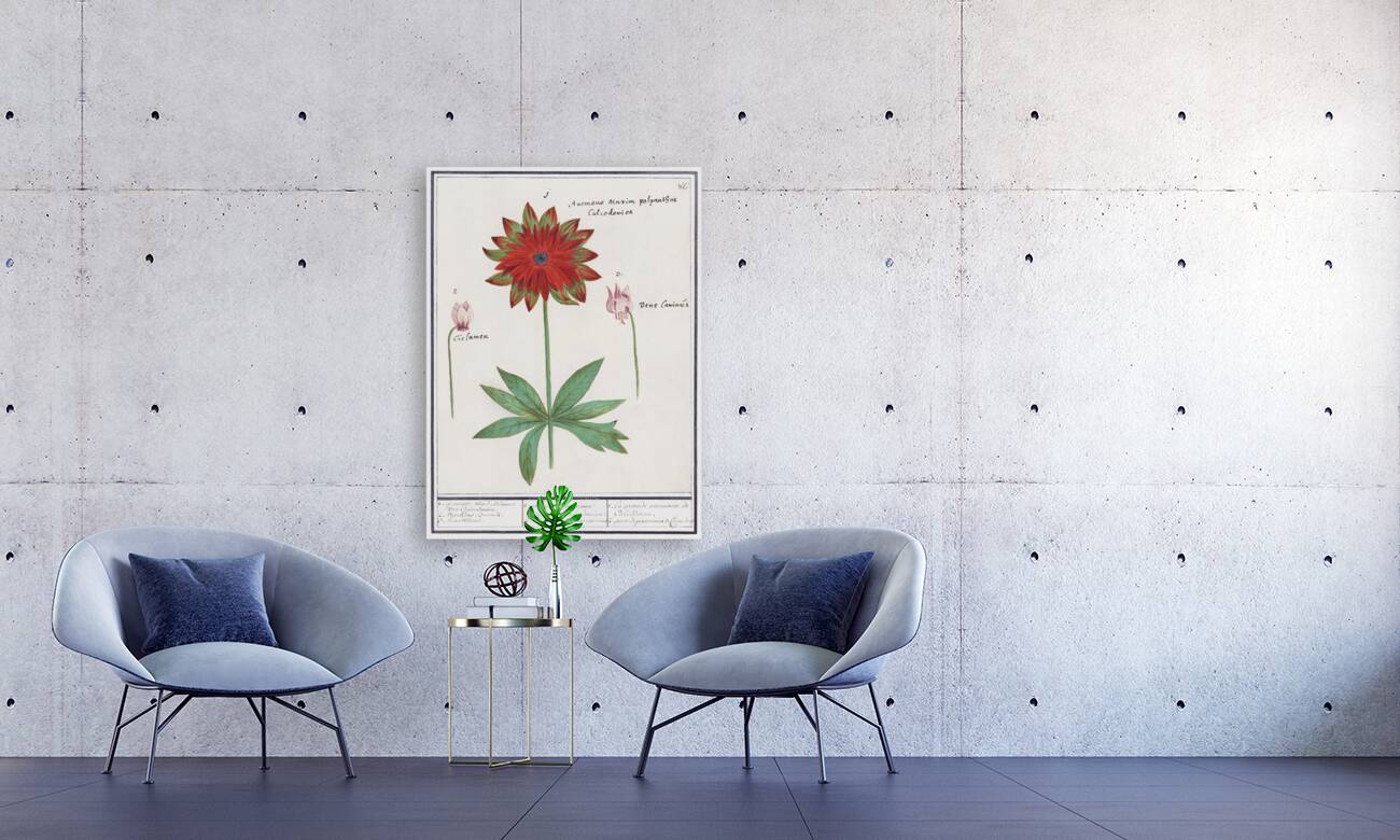 Anemone in vintage style Reproduction