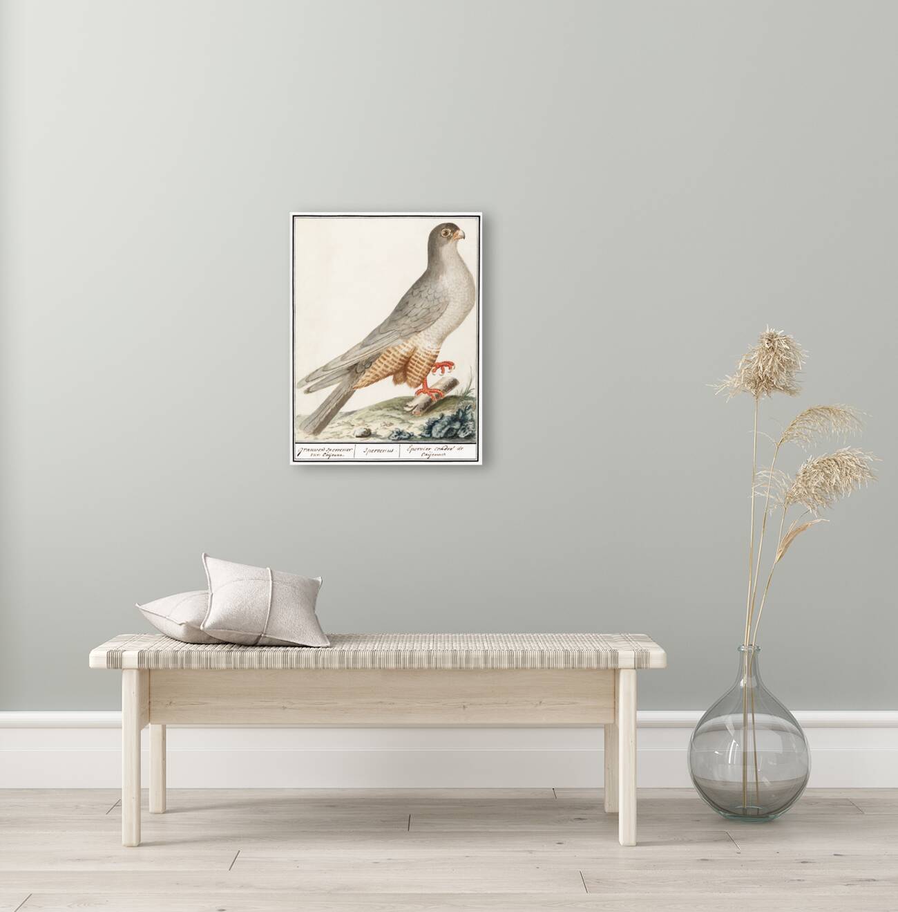 Red-footed falcon vintage style Reproduction