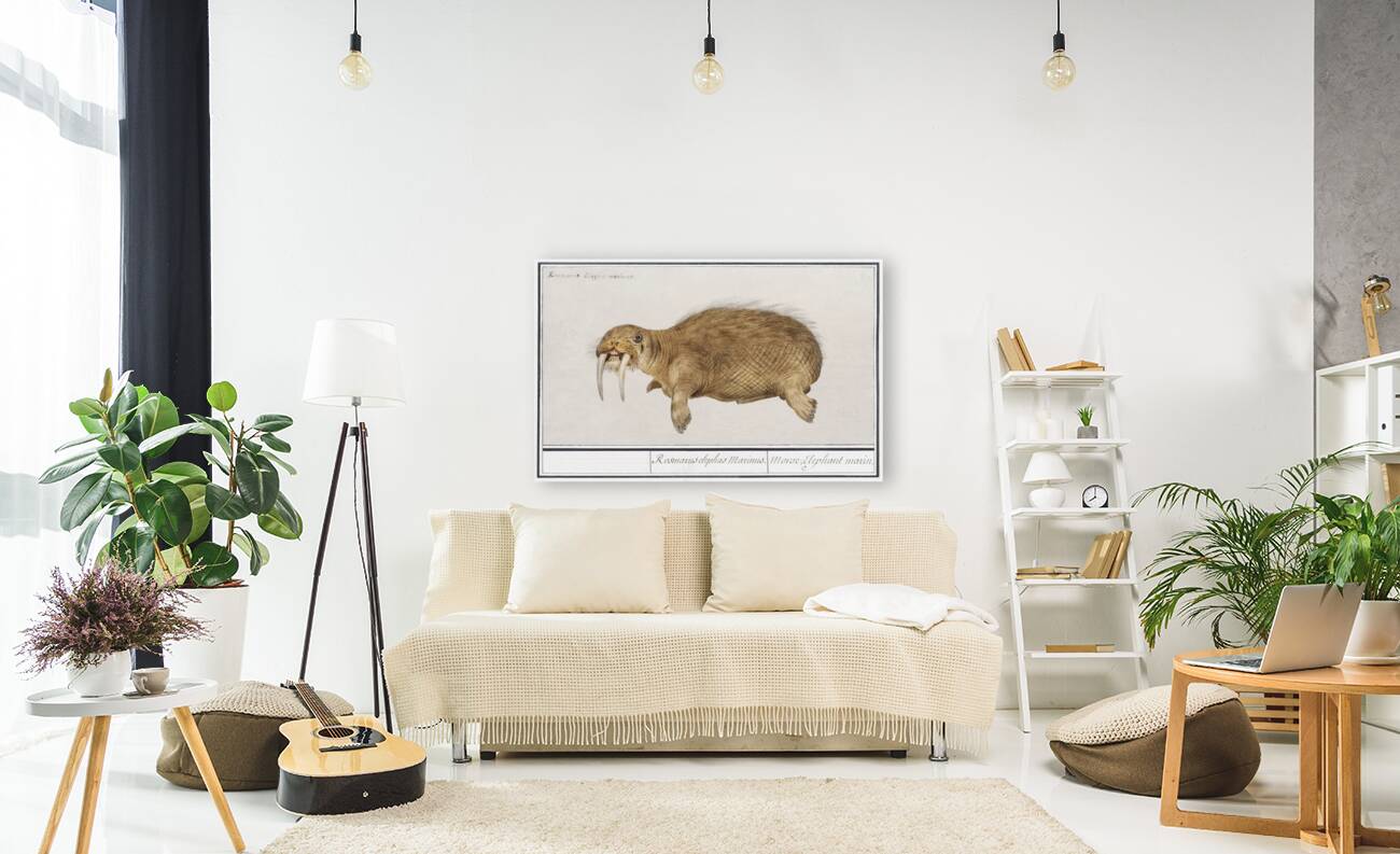 Walrus in vintage style Reproduction