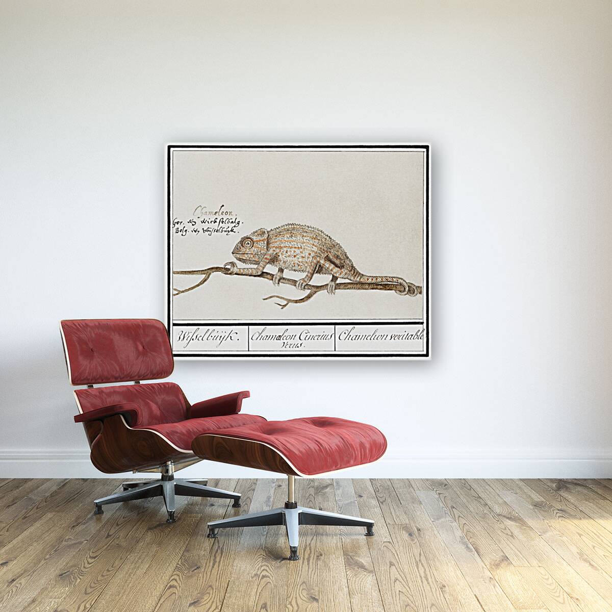 Chameleon in vintage style Reproduction