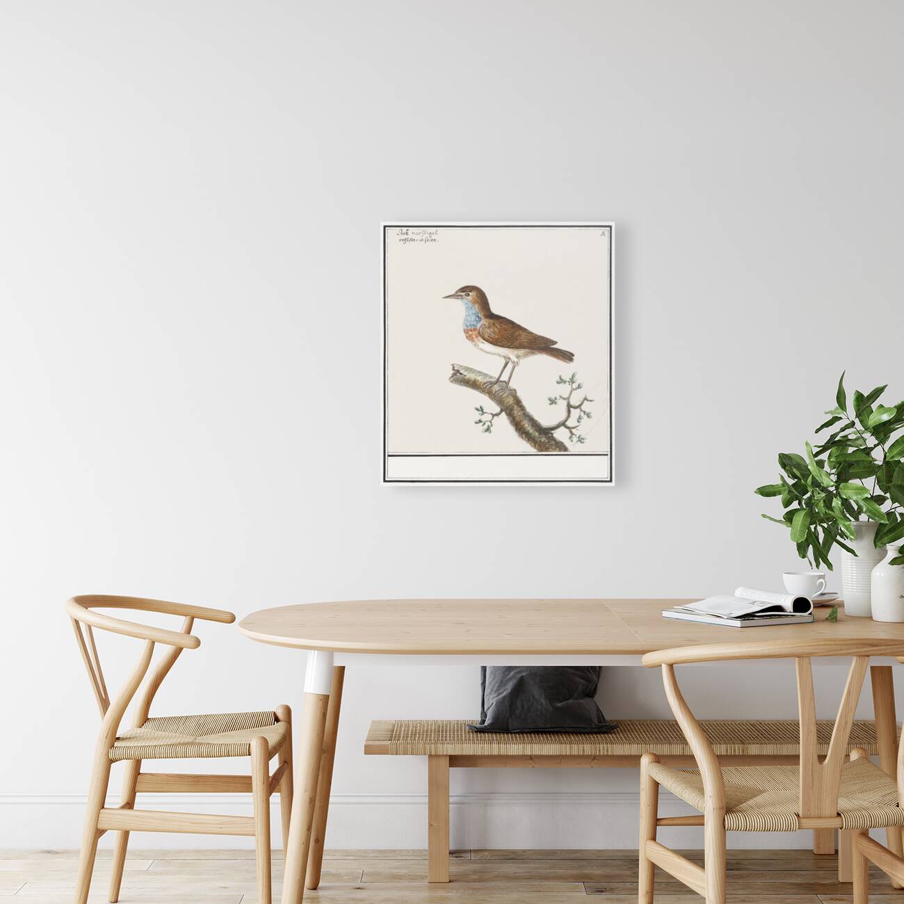 Bluethroat in vintage style Reproduction