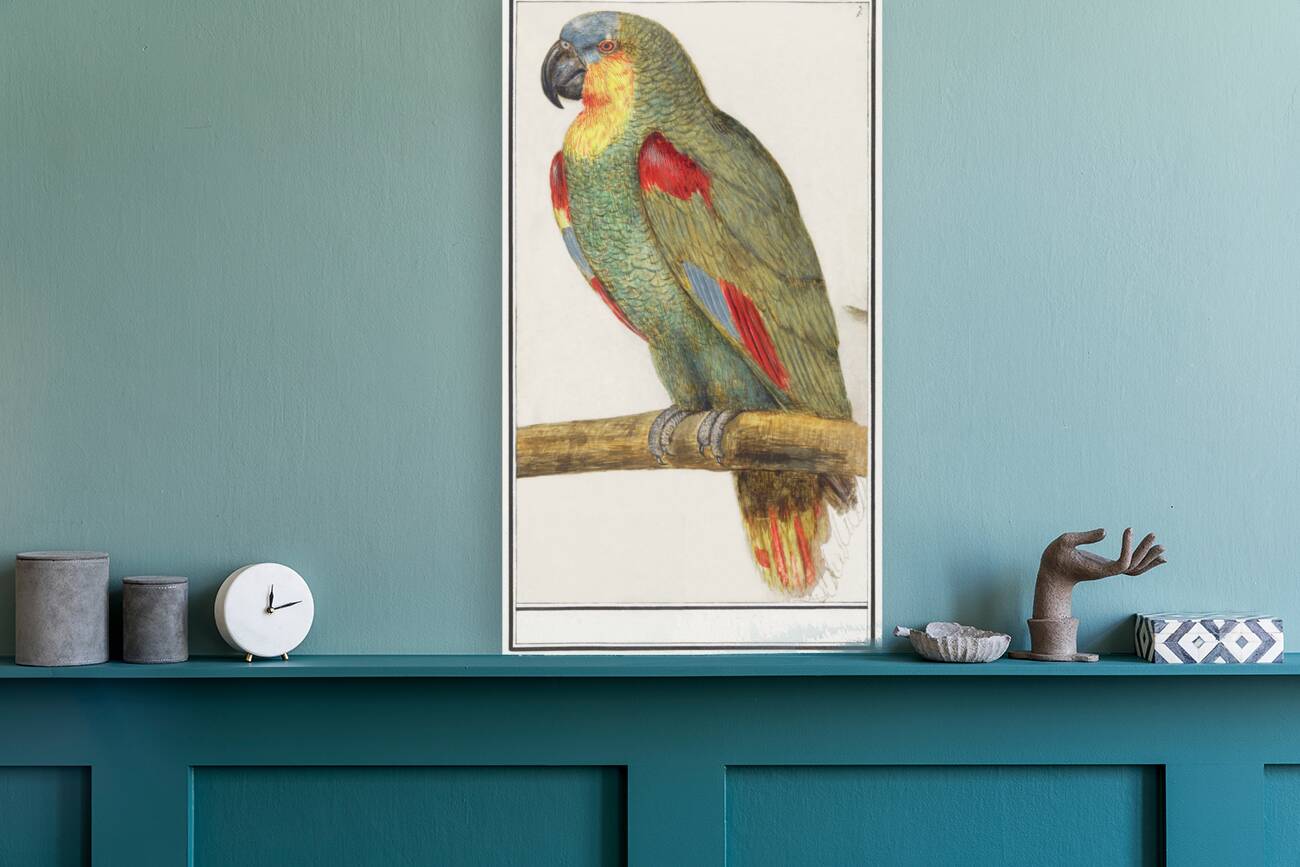 Parrot in vintage style Reproduction