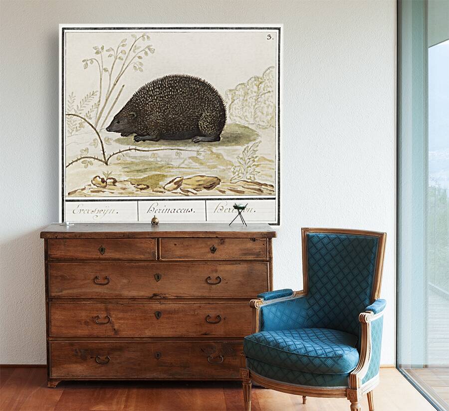 Hedgehog in vintage style Reproduction