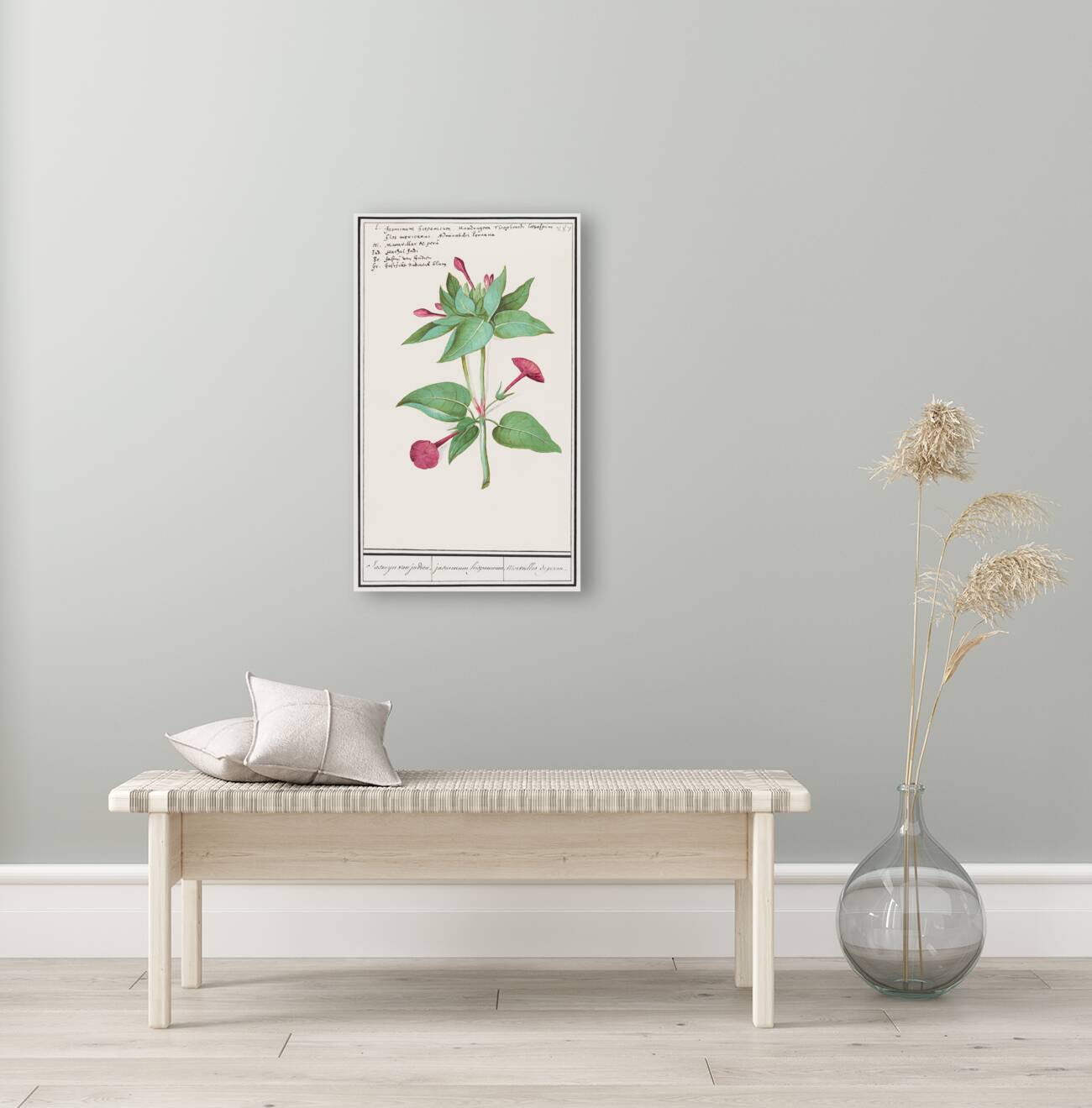 Marvel-of-peru in vintage style Reproduction