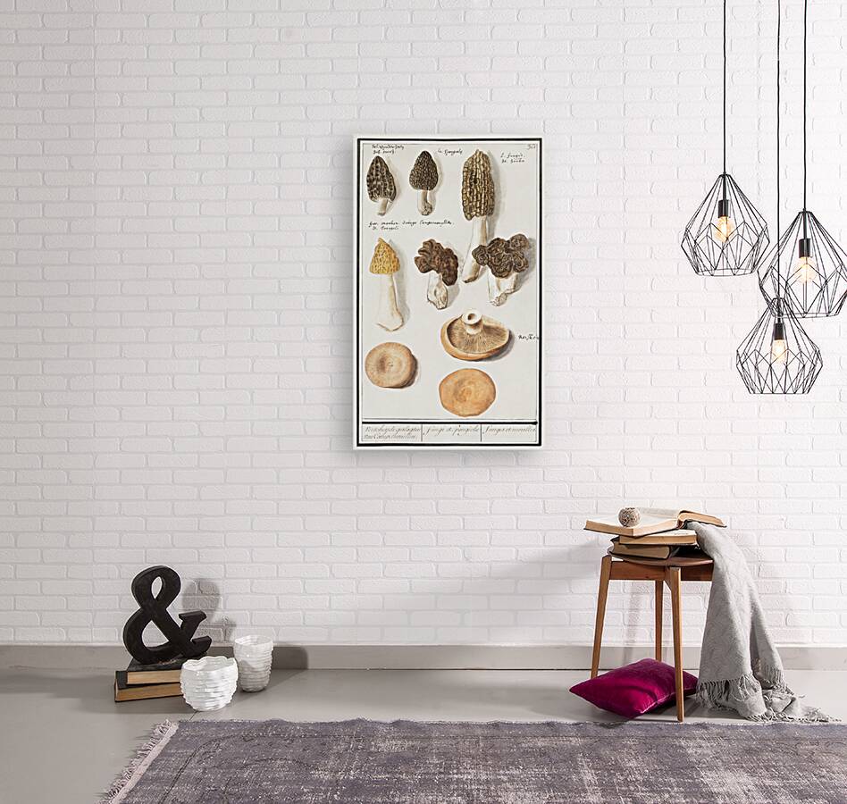 Mushrooms in vintage style Reproduction