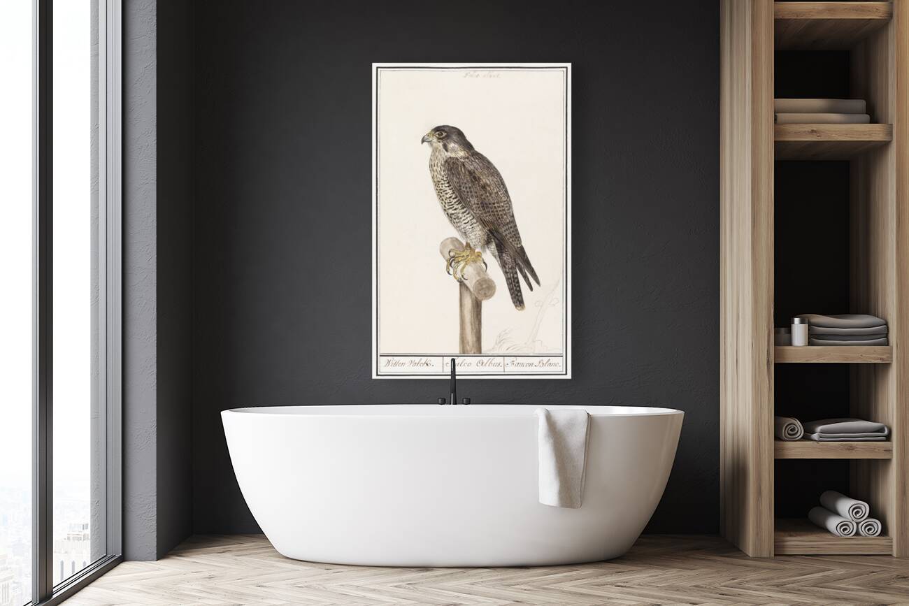 Peregrine falcon in vintage style Reproduction