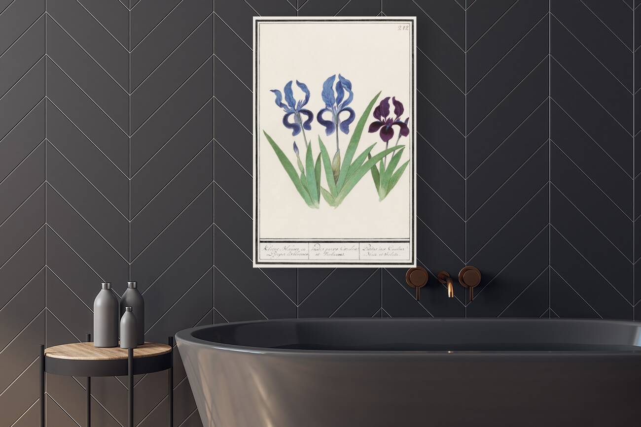 Purple iris vintage style Reproduction