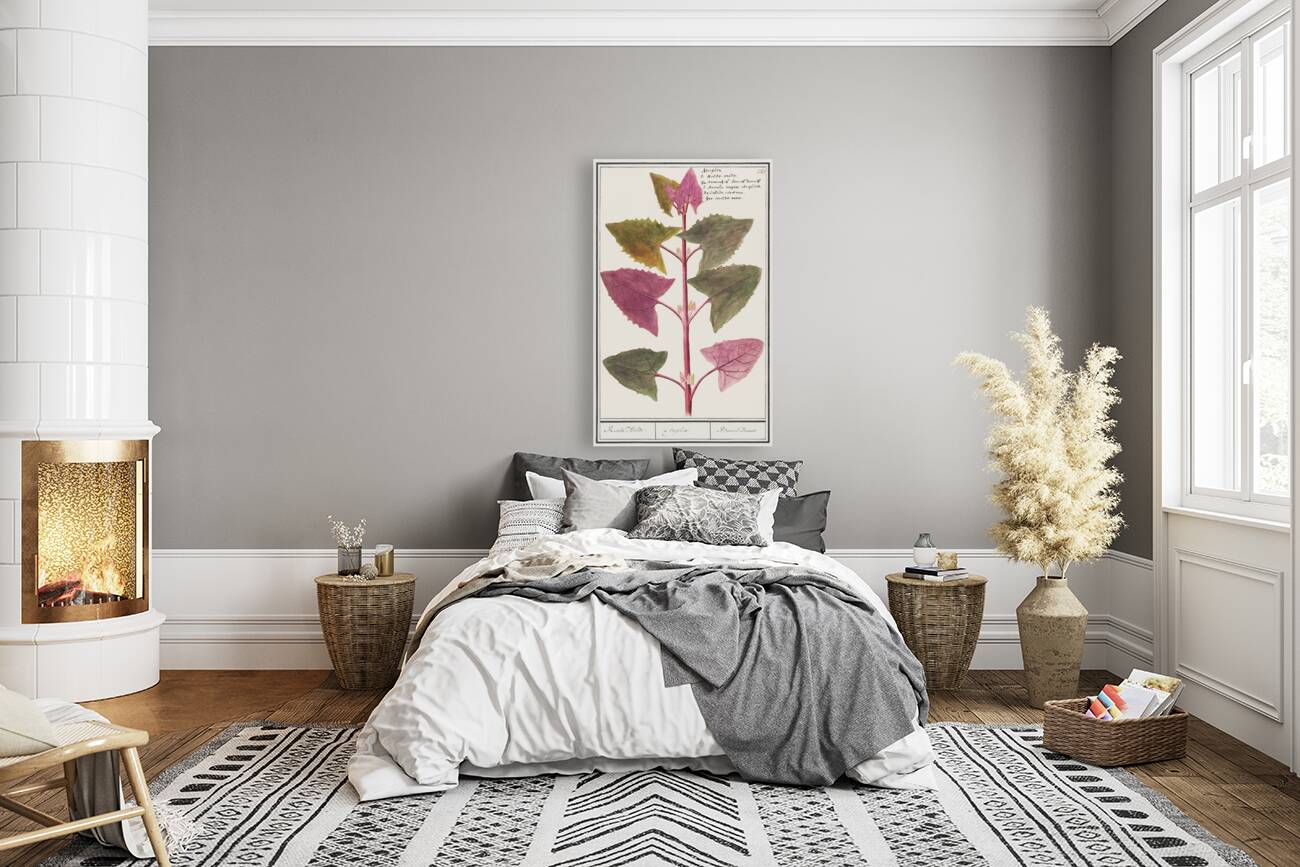 Garden orache in vintage stylered orache Reproduction