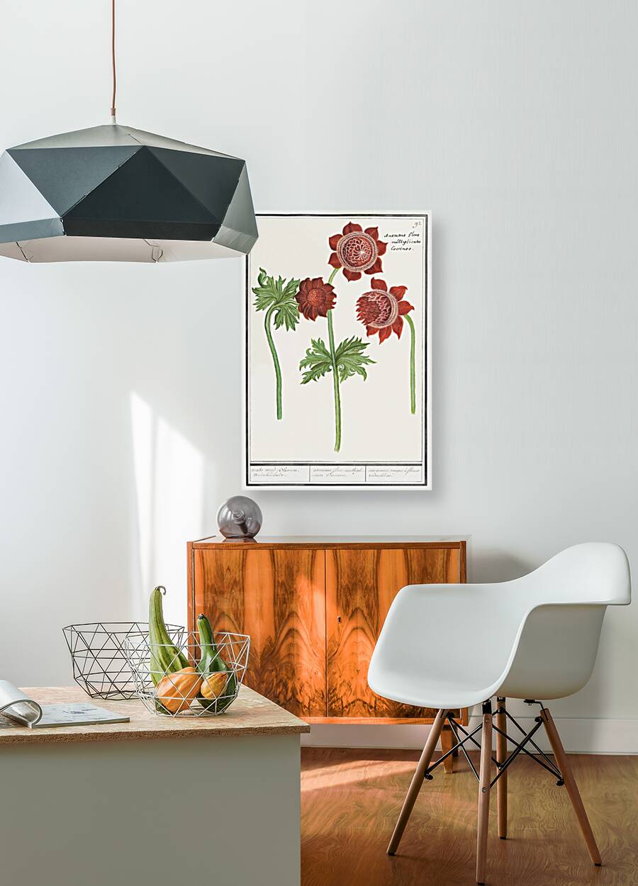 Anemone flower in vintage style Reproduction