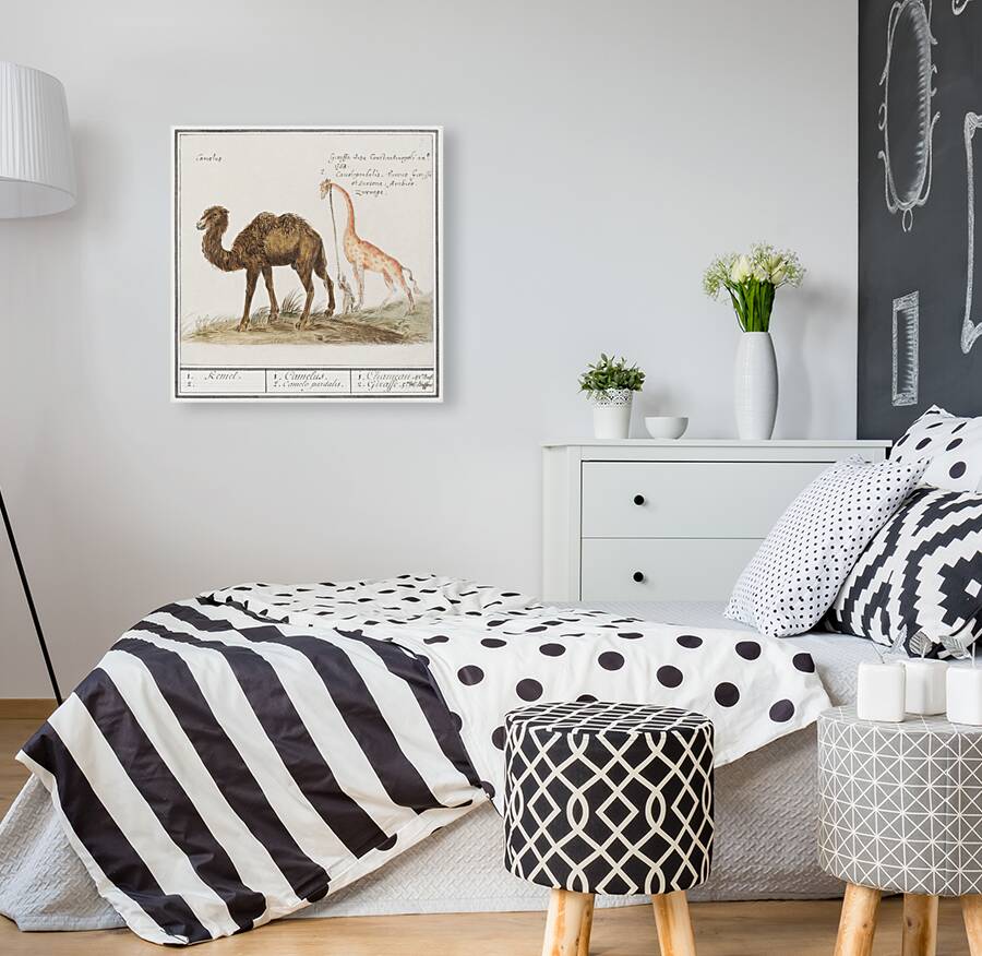 Anemone flower in vintage style Reproduction