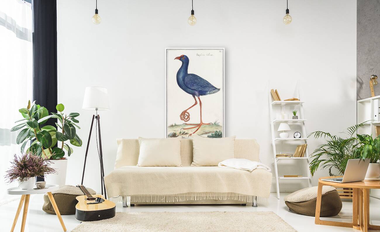 Swamphen in vintage style Reproduction