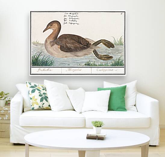 Little grebe in vintage style Reproduction