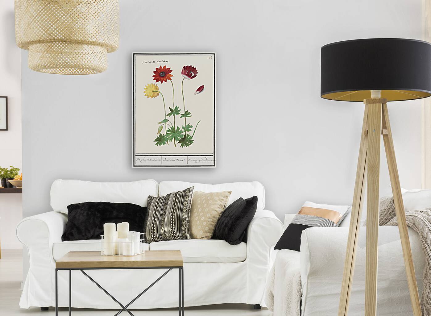 Anemone in vintage flower Reproduction