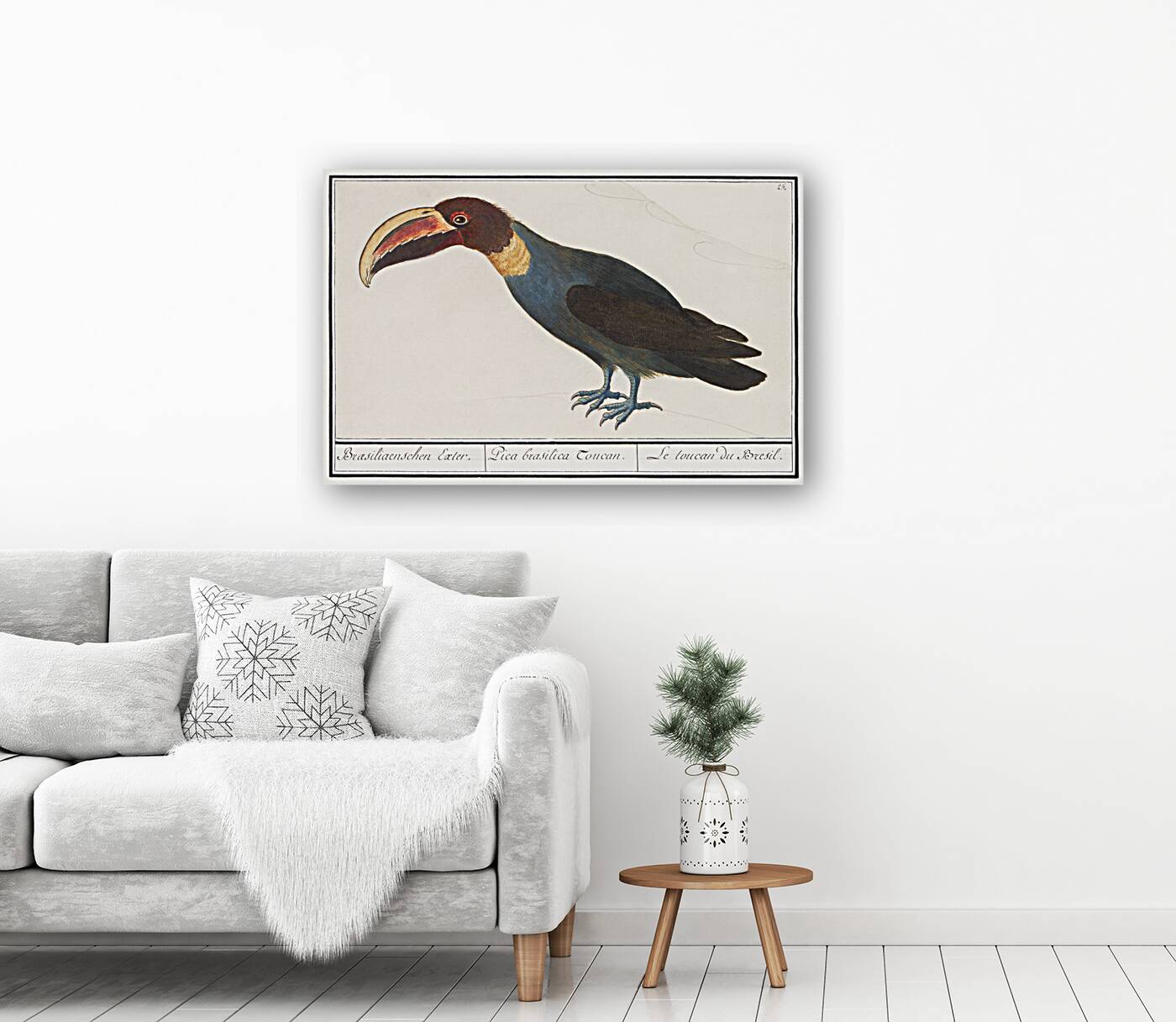 Redshank in vintage style Reproduction