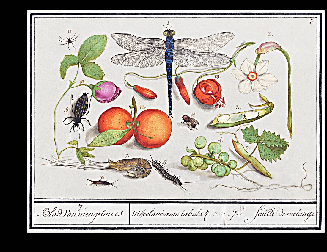 Nature ensemble in vintage style Reproduction