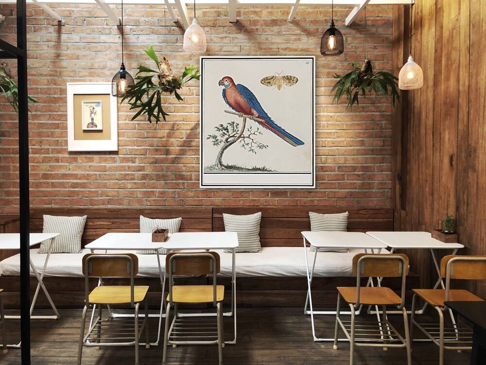 Blue and gold macaw in vintage style Reproduction