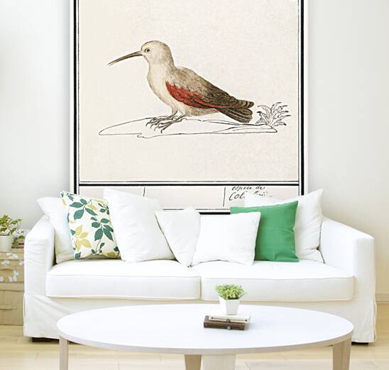 Wallcreeper in vintage style Reproduction
