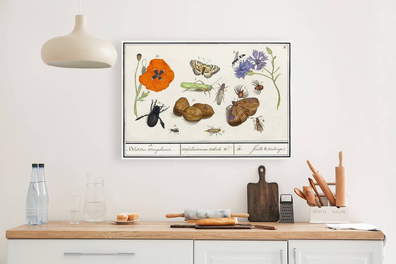 Wallcreeper in vintage style Reproduction