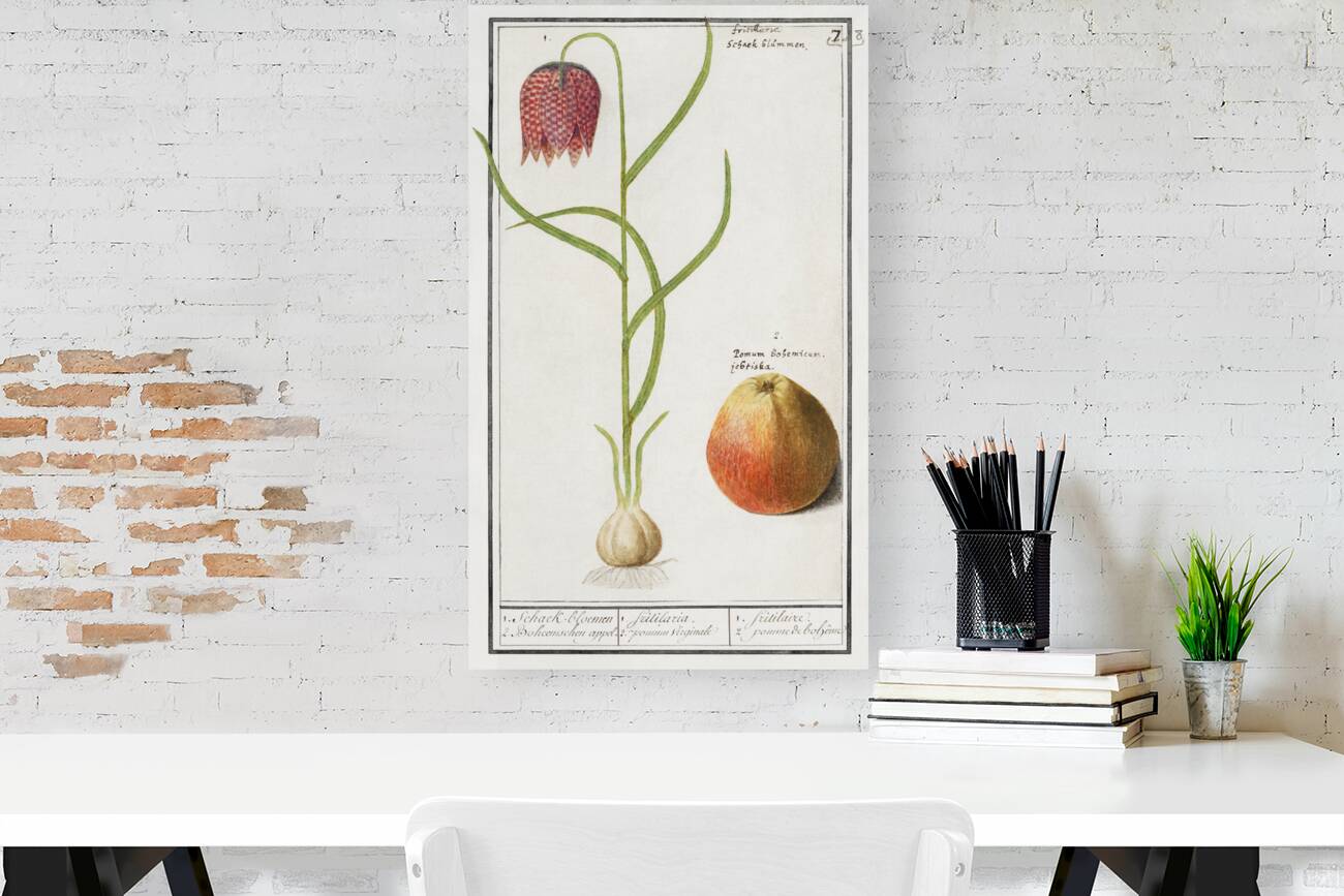 Snakes head flower and apple Reproduction