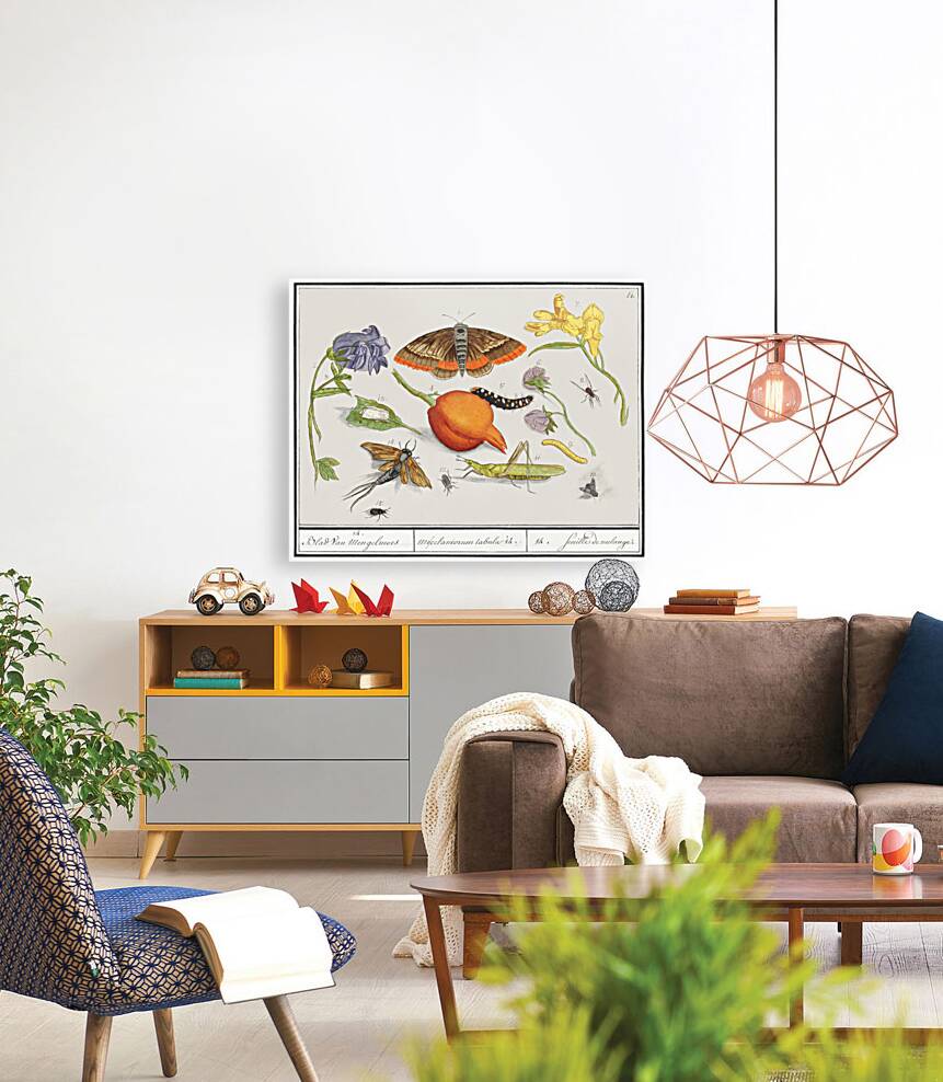 Nature ensemble in vintage style Reproduction