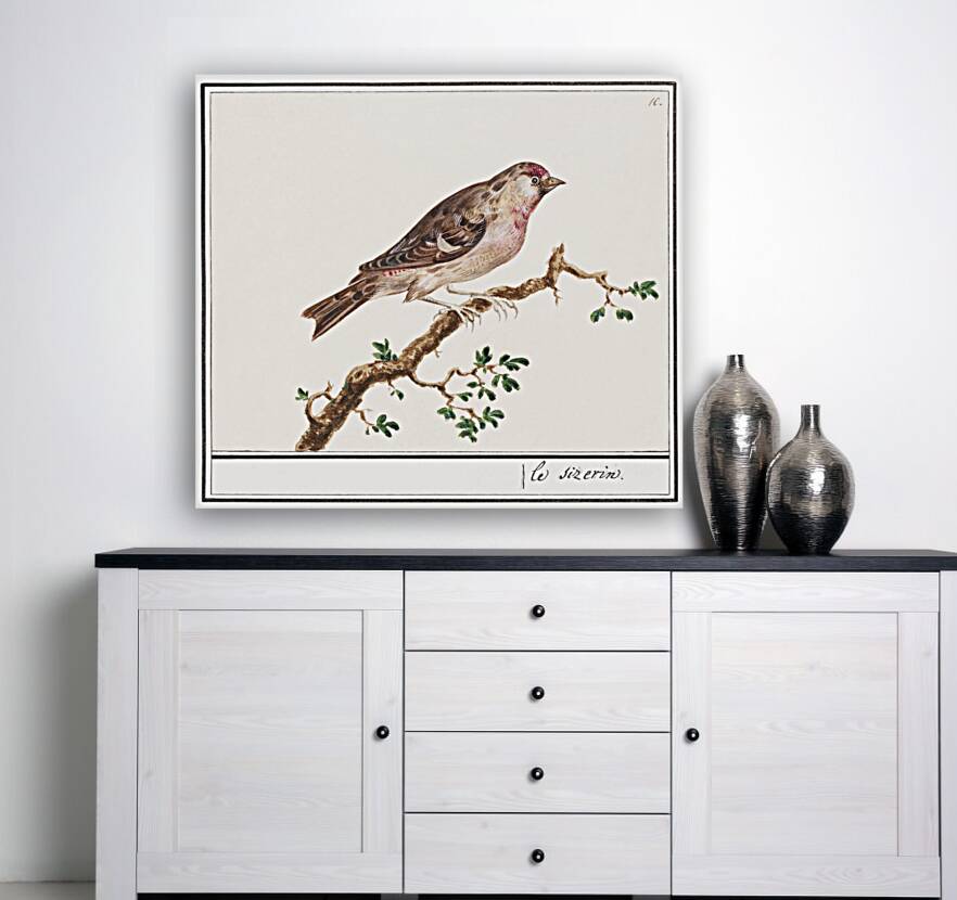Redpoll in vintage style Reproduction