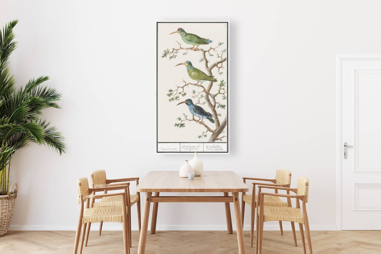 Sunbirds in vintage style Reproduction