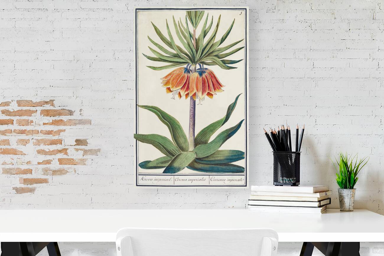 Kaisers crown in vintage style Reproduction