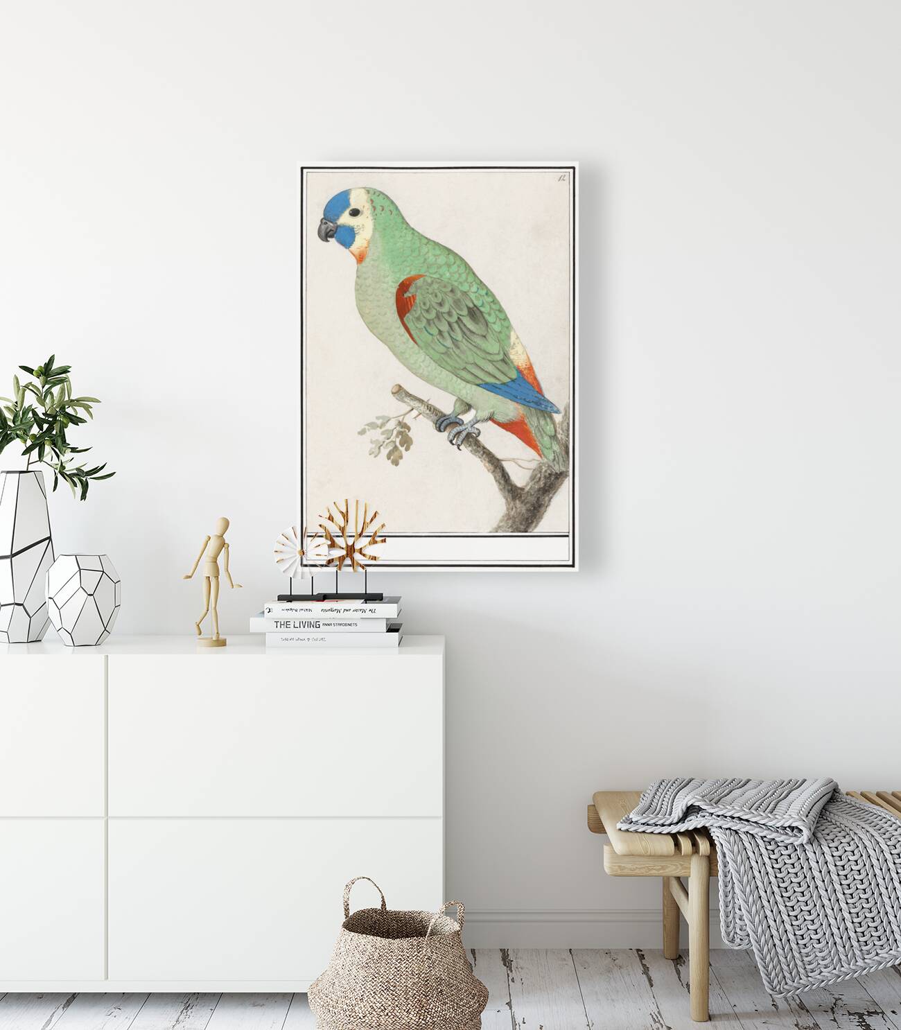 Turquoise-fronted amazon in vintage style Reproduction