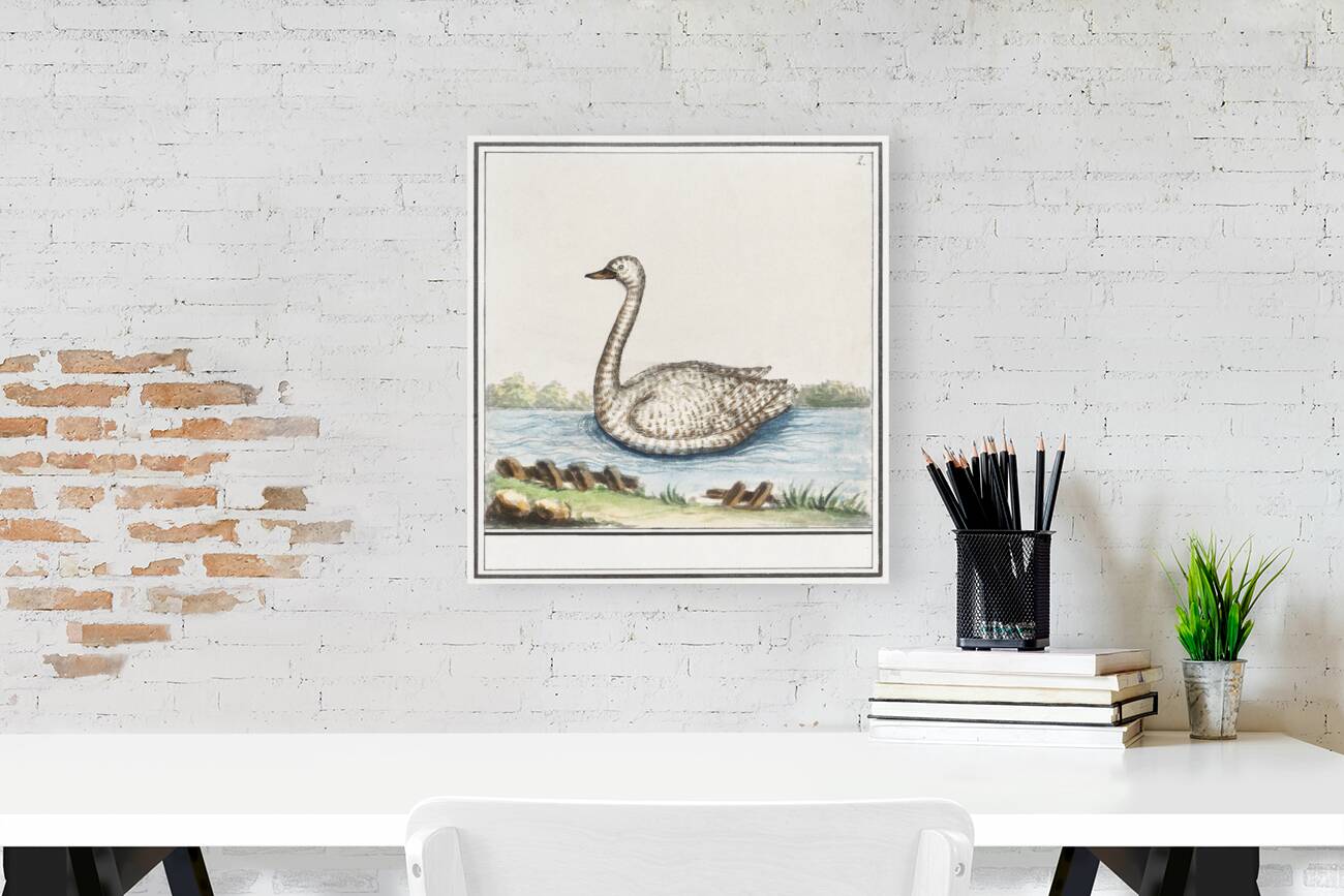 Swan in vintage style Reproduction
