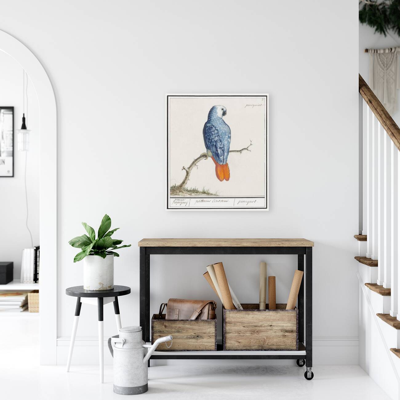 Grey parrot in vintage style Reproduction