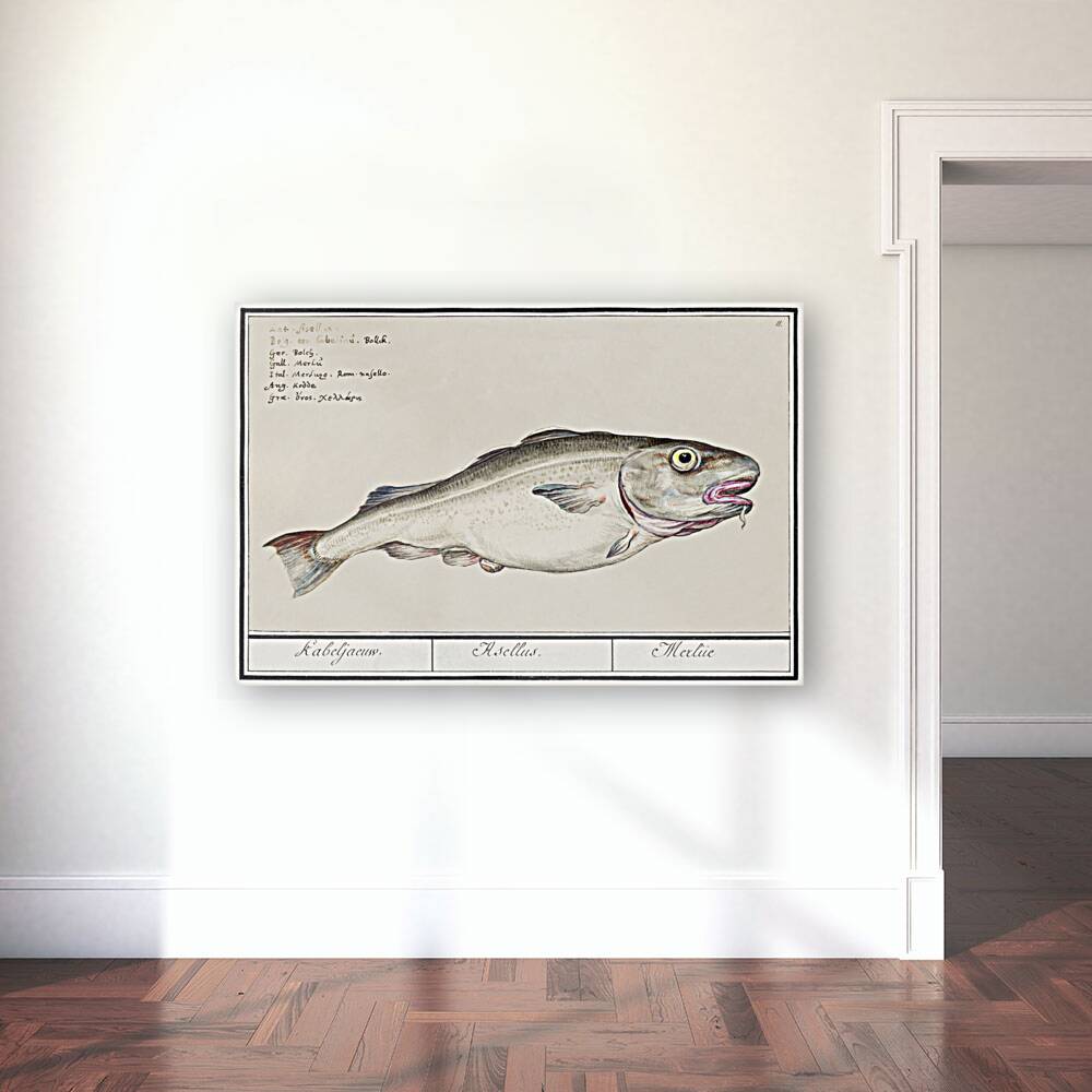 Cod in vintage style Reproduction