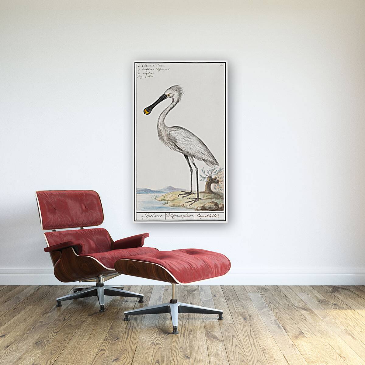 Spoonbill in vintage style Reproduction