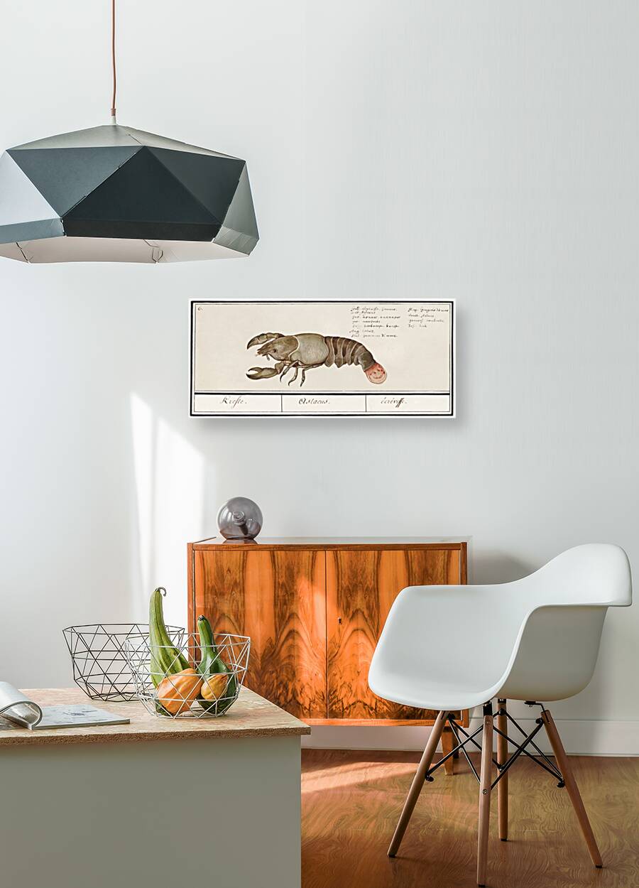 Lobster in vintage style Reproduction