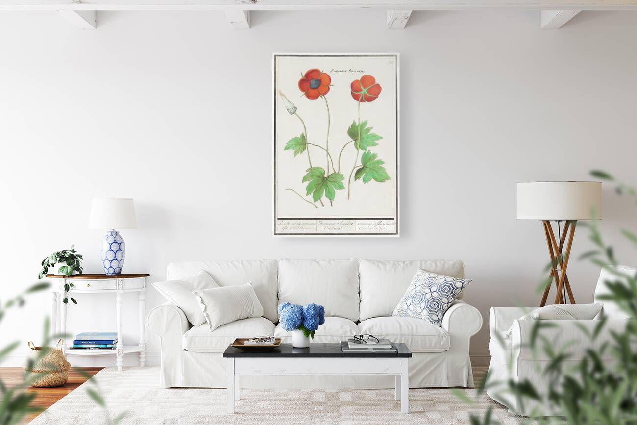 Indian runner duck in vintage style Reproduction