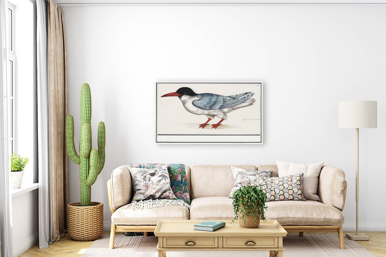 Tern in vintage style Reproduction