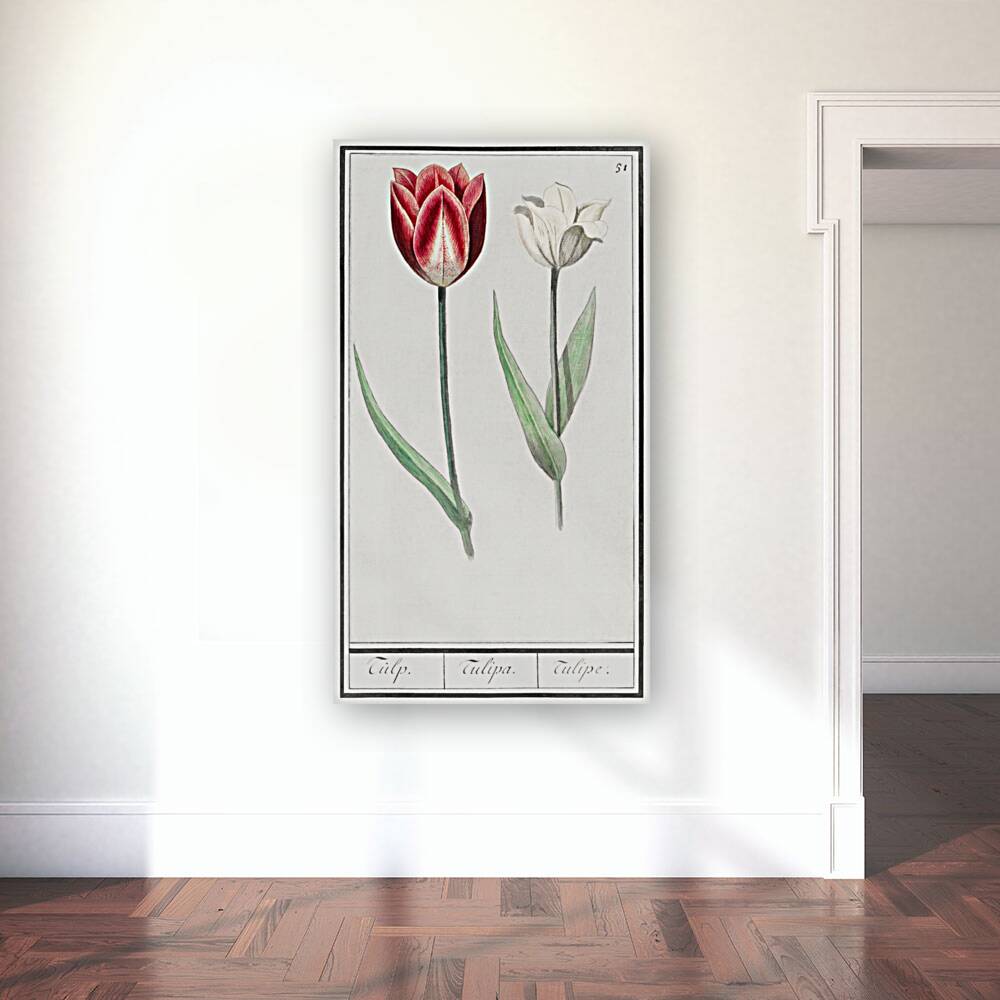 Tulip in vintage style Reproduction